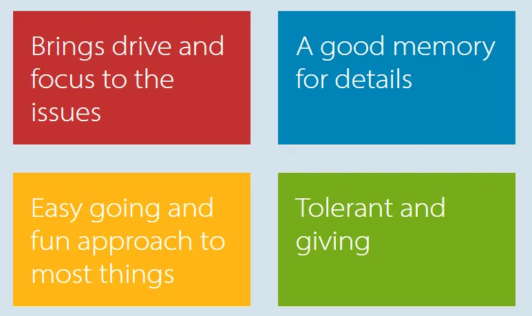 Discovery Insights Colour Profiles, four colours representing Insights Discovery traits