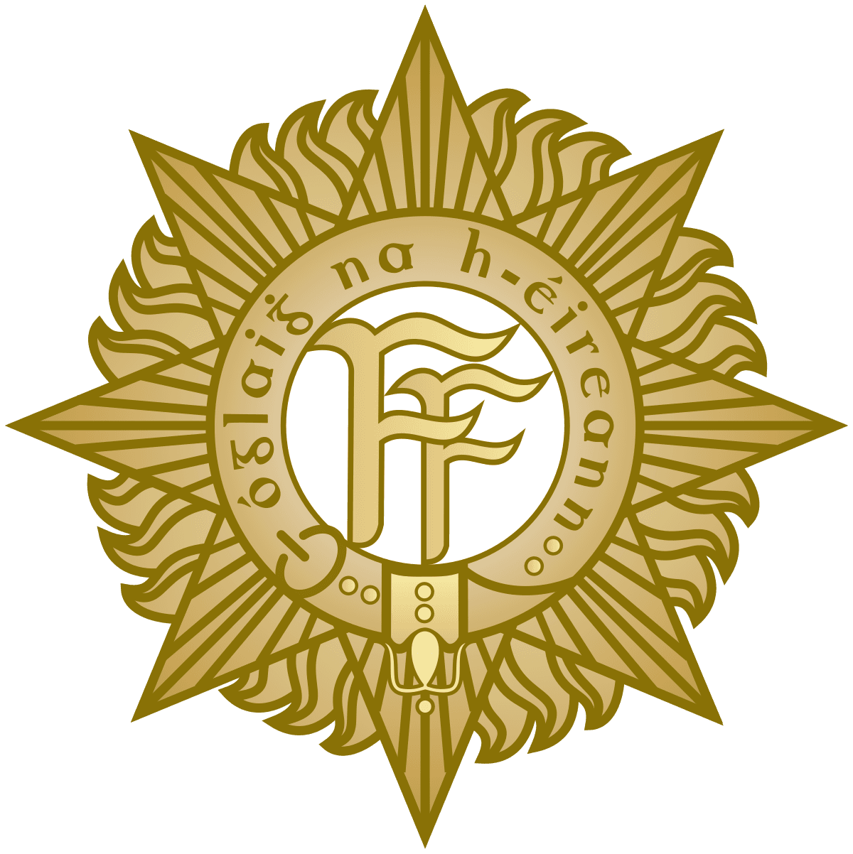Irish Defence Force